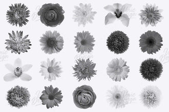 High-Quality Stamp Flower Brushes - 48 Versions