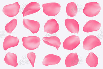 Stamp Sakura Brushes for Photoshop - 25 Pack