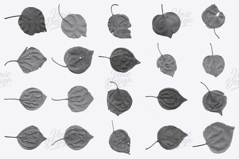 56 Leaf Photoshop Brushes