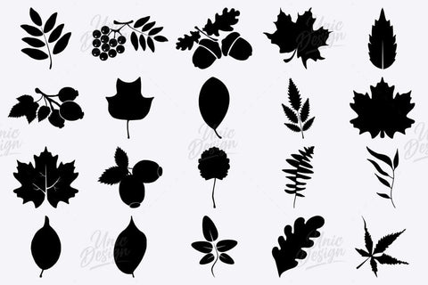 56 Leaf Photoshop Brushes