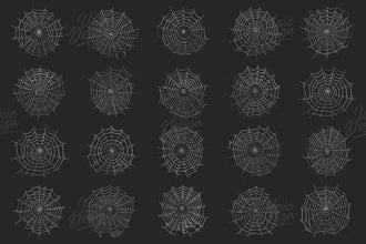 20 Spider Web Photoshop Brushes