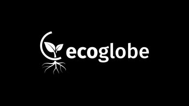 Eco Globe Logo Design