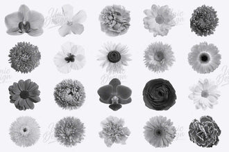 High-Quality Stamp Flower Brushes - 48 Versions