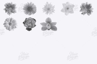 High-Quality Stamp Flower Brushes - 48 Versions