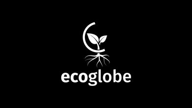 Eco Globe Logo Design