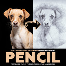 Custom Pencil Sketch Portrait