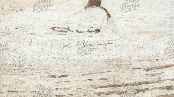Texture Pinru Pine Texture