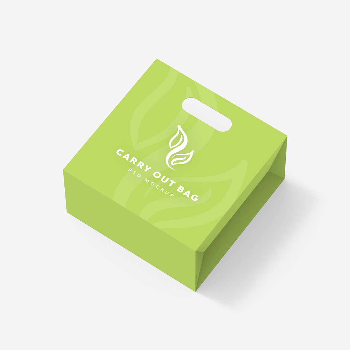 Carry Out Bag Mockup